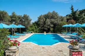 Anemona studio 1